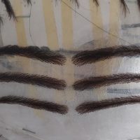 Modelos de Prótesis de cejas para hombre