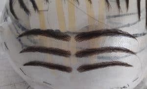 Modelos de Prótesis de cejas para hombre