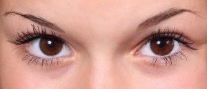 Recomendaciones para encontrar las cejas postizas perfectas para tu rostro